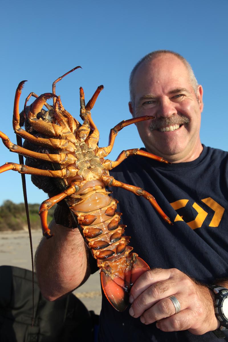 Trapping Lobsters Fishing World Australia